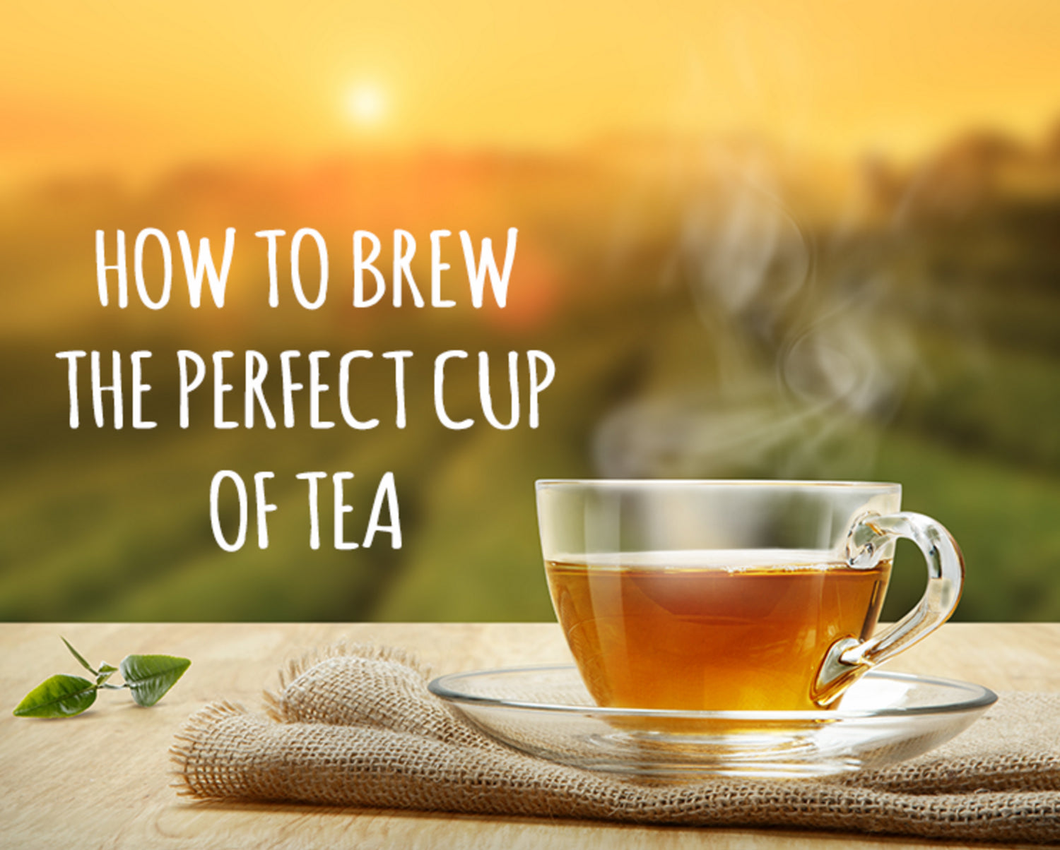 How to Brew A Perfect Cup of Tea