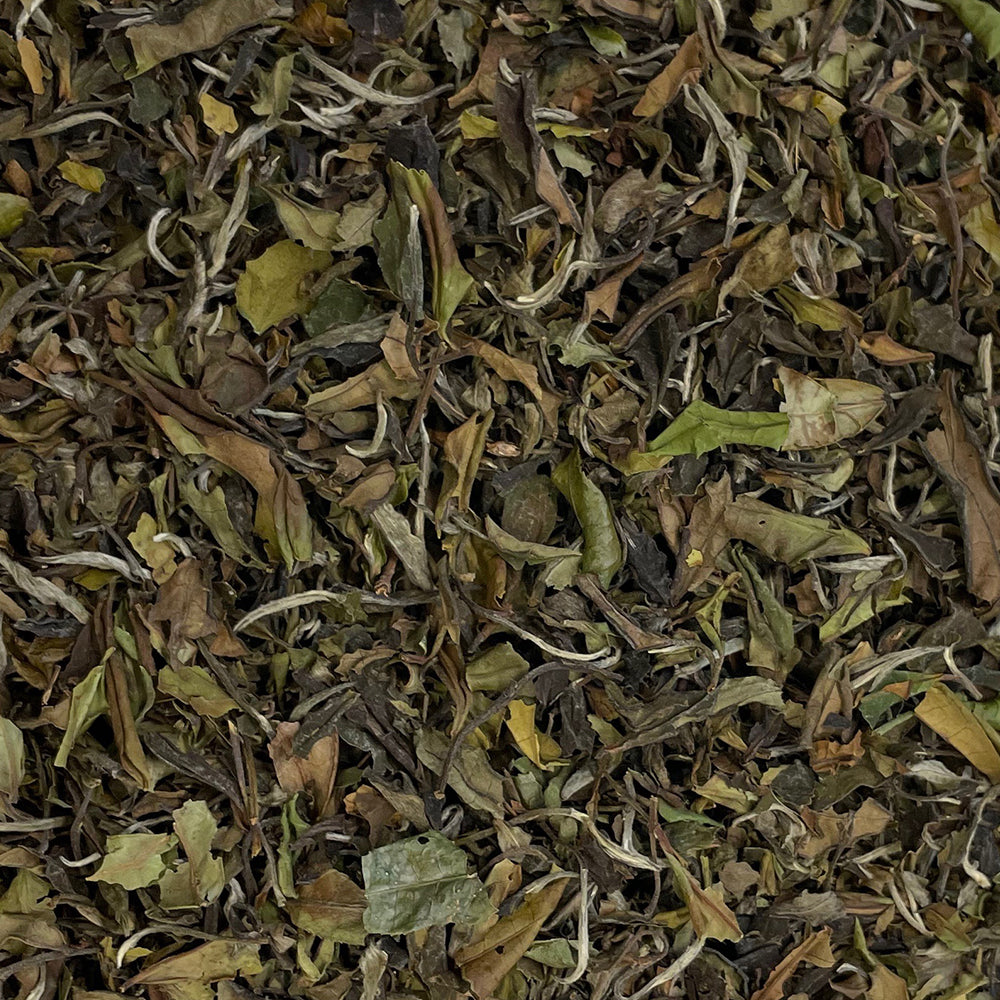 Pai Mu Tan (White)-Loose Leaf Tea-High Teas
