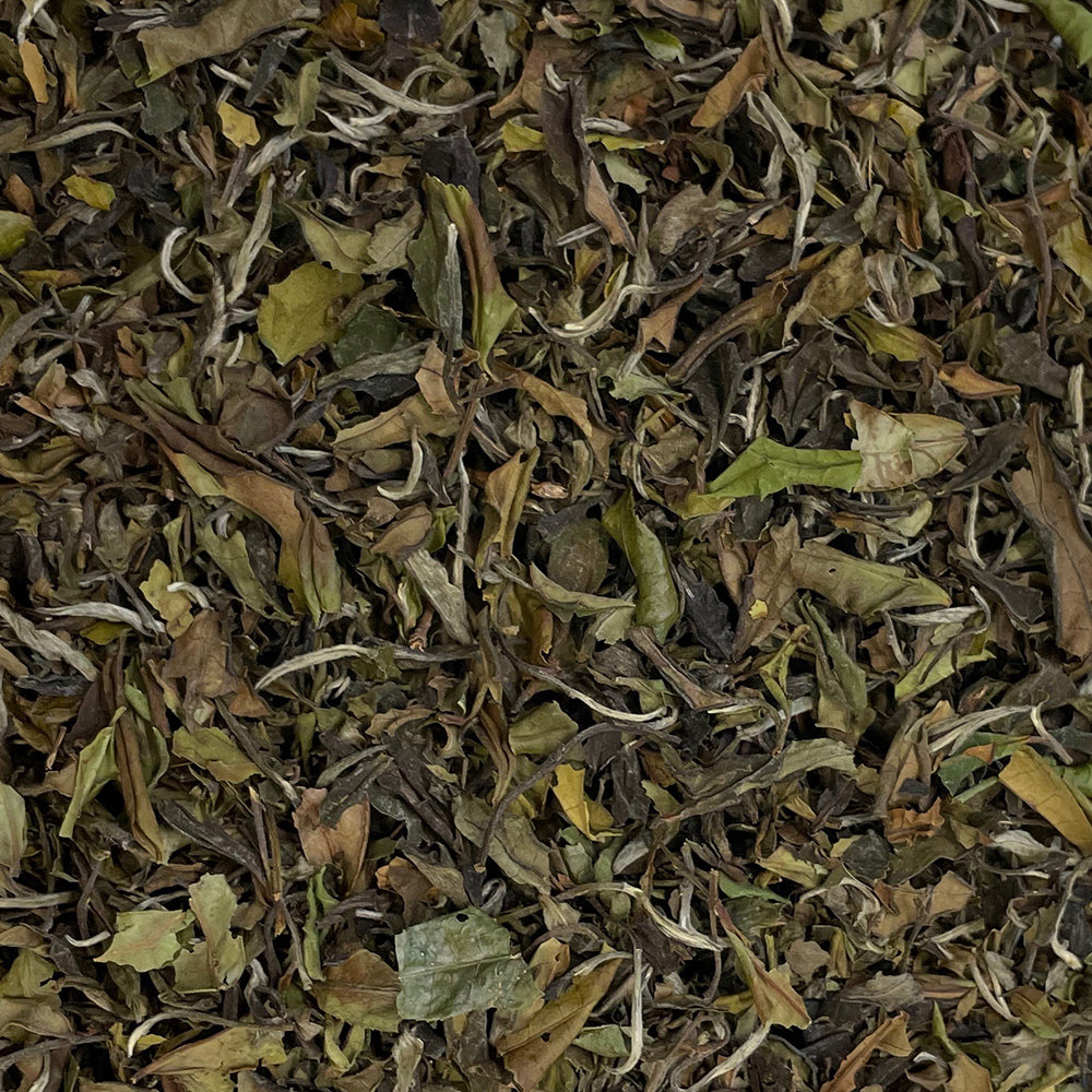 White Tea | Jasmine And Silver Needle Tea | Tea Repertoire