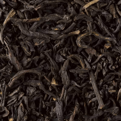 Dammann Freres, Smokey Lapsang Souchong (25 cristal sachets)-Loose Leaf Tea-High Teas